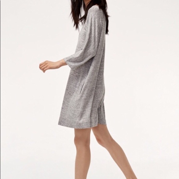 Aritzia Dresses & Skirts - Aritzia Wilfred Free Cober Dress